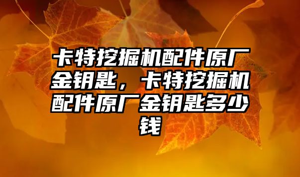 卡特挖掘機(jī)配件原廠金鑰匙，卡特挖掘機(jī)配件原廠金鑰匙多少錢(qián)