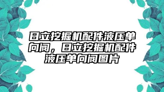 日立挖掘機(jī)配件液壓?jiǎn)蜗蜷y，日立挖掘機(jī)配件液壓?jiǎn)蜗蜷y圖片