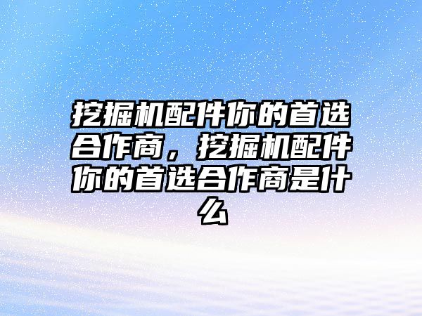 挖掘機配件你的首選合作商，挖掘機配件你的首選合作商是什么