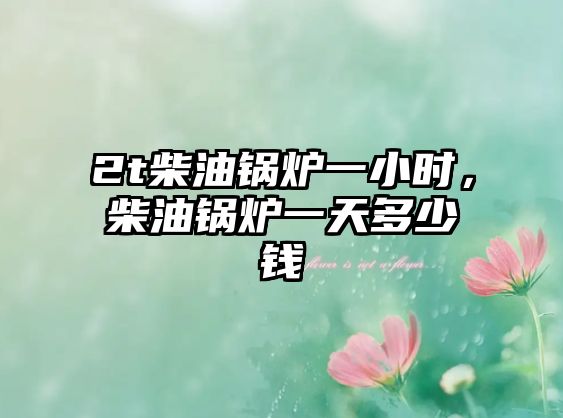 2t柴油鍋爐一小時(shí)，柴油鍋爐一天多少錢(qián)