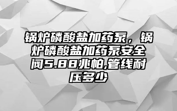 鍋爐磷酸鹽加藥泵，鍋爐磷酸鹽加藥泵安全閥5.88兆帕,管線耐壓多少