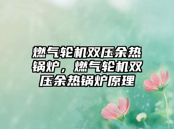 燃氣輪機雙壓余熱鍋爐，燃氣輪機雙壓余熱鍋爐原理