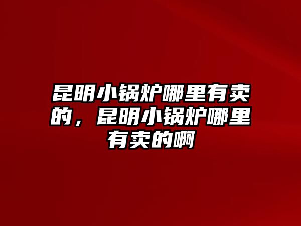 昆明小鍋爐哪里有賣的，昆明小鍋爐哪里有賣的啊