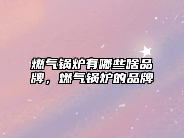 燃氣鍋爐有哪些啥品牌，燃氣鍋爐的品牌