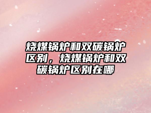 燒煤鍋爐和雙碳鍋爐區(qū)別，燒煤鍋爐和雙碳鍋爐區(qū)別在哪