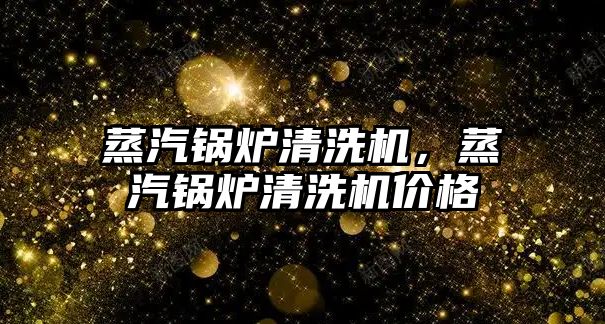 蒸汽鍋爐清洗機，蒸汽鍋爐清洗機價格