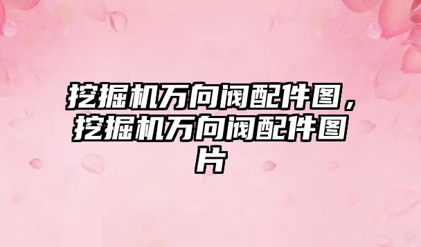 挖掘機萬向閥配件圖，挖掘機萬向閥配件圖片