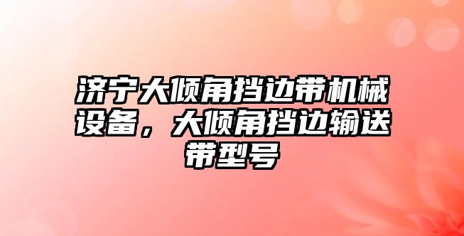 濟(jì)寧大傾角擋邊帶機(jī)械設(shè)備，大傾角擋邊輸送帶型號(hào)