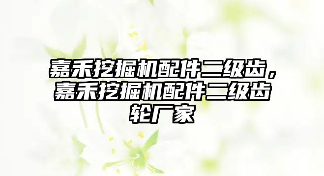 嘉禾挖掘機(jī)配件二級(jí)齒，嘉禾挖掘機(jī)配件二級(jí)齒輪廠家