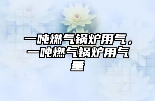 一噸燃?xì)忮仩t用氣，一噸燃?xì)忮仩t用氣量