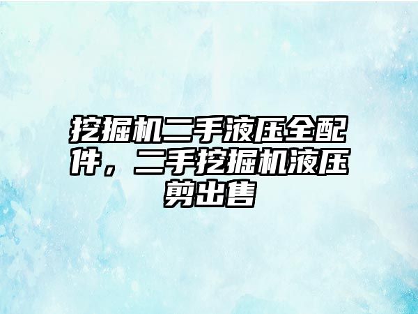 挖掘機(jī)二手液壓全配件，二手挖掘機(jī)液壓剪出售