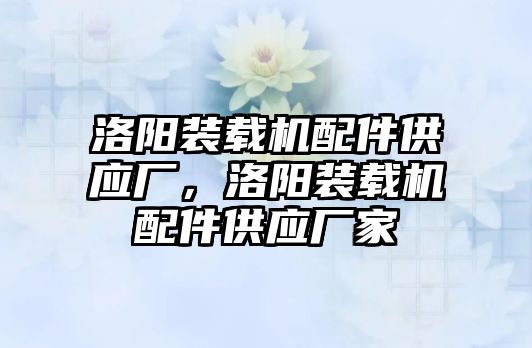 洛陽裝載機(jī)配件供應(yīng)廠，洛陽裝載機(jī)配件供應(yīng)廠家