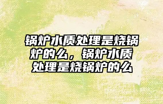 鍋爐水質(zhì)處理是燒鍋爐的么，鍋爐水質(zhì)處理是燒鍋爐的么