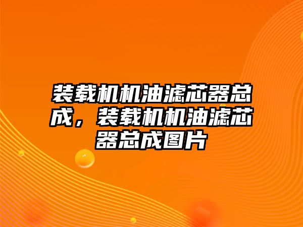 裝載機機油濾芯器總成，裝載機機油濾芯器總成圖片