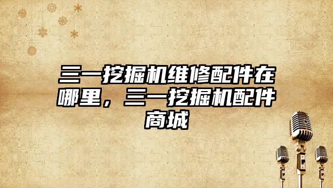 三一挖掘機(jī)維修配件在哪里，三一挖掘機(jī)配件商城