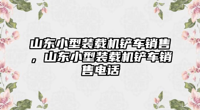 山東小型裝載機(jī)鏟車(chē)銷(xiāo)售，山東小型裝載機(jī)鏟車(chē)銷(xiāo)售電話