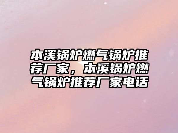本溪鍋爐燃?xì)忮仩t推薦廠家，本溪鍋爐燃?xì)忮仩t推薦廠家電話