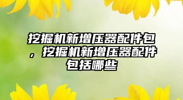 挖掘機(jī)新增壓器配件包，挖掘機(jī)新增壓器配件包括哪些