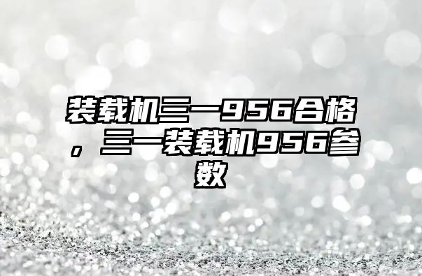 裝載機(jī)三一956合格佂，三一裝載機(jī)956參數(shù)