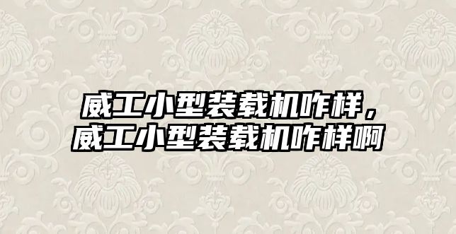 威工小型裝載機(jī)咋樣，威工小型裝載機(jī)咋樣啊