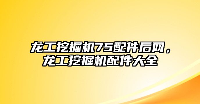 龍工挖掘機75配件后網(wǎng)，龍工挖掘機配件大全