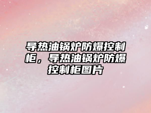 導(dǎo)熱油鍋爐防爆控制柜，導(dǎo)熱油鍋爐防爆控制柜圖片