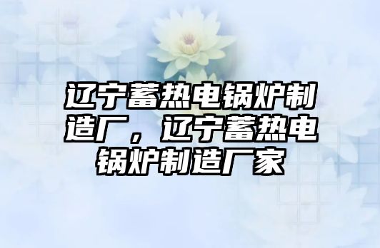 遼寧蓄熱電鍋爐制造廠，遼寧蓄熱電鍋爐制造廠家