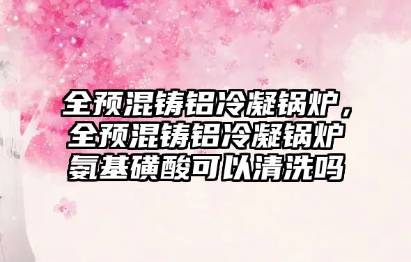 全預(yù)混鑄鋁冷凝鍋爐，全預(yù)混鑄鋁冷凝鍋爐氨基磺酸可以清洗嗎
