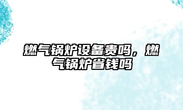 燃?xì)忮仩t設(shè)備貴嗎，燃?xì)忮仩t省錢嗎