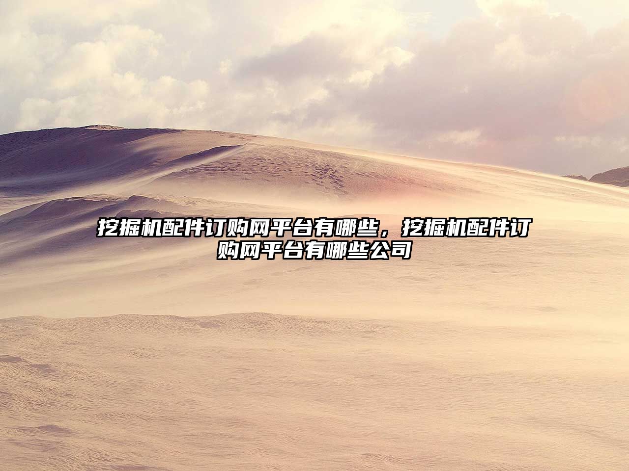 挖掘機配件訂購網(wǎng)平臺有哪些，挖掘機配件訂購網(wǎng)平臺有哪些公司