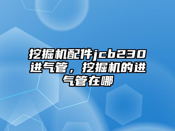 挖掘機(jī)配件jcb230進(jìn)氣管，挖掘機(jī)的進(jìn)氣管在哪