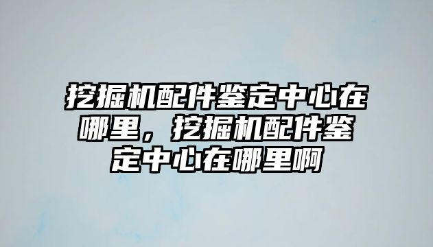 挖掘機(jī)配件鑒定中心在哪里，挖掘機(jī)配件鑒定中心在哪里啊