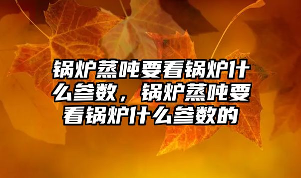 鍋爐蒸噸要看鍋爐什么參數(shù)，鍋爐蒸噸要看鍋爐什么參數(shù)的