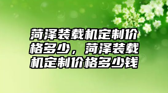 菏澤裝載機(jī)定制價格多少，菏澤裝載機(jī)定制價格多少錢