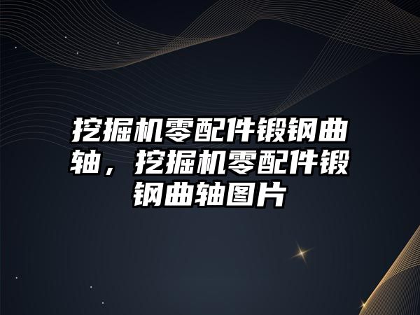 挖掘機(jī)零配件鍛鋼曲軸，挖掘機(jī)零配件鍛鋼曲軸圖片