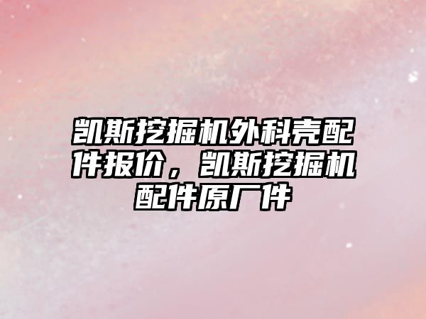 凱斯挖掘機(jī)外科殼配件報(bào)價(jià)，凱斯挖掘機(jī)配件原廠件