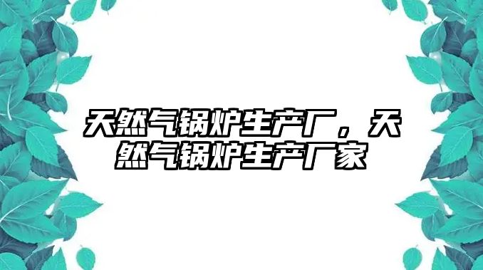 天然氣鍋爐生產(chǎn)廠，天然氣鍋爐生產(chǎn)廠家