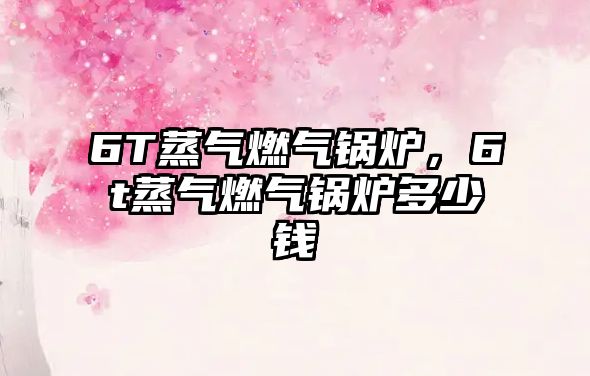 6T蒸氣燃?xì)忮仩t，6t蒸氣燃?xì)忮仩t多少錢