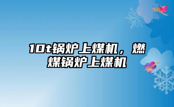 10t鍋爐上煤機，燃煤鍋爐上煤機