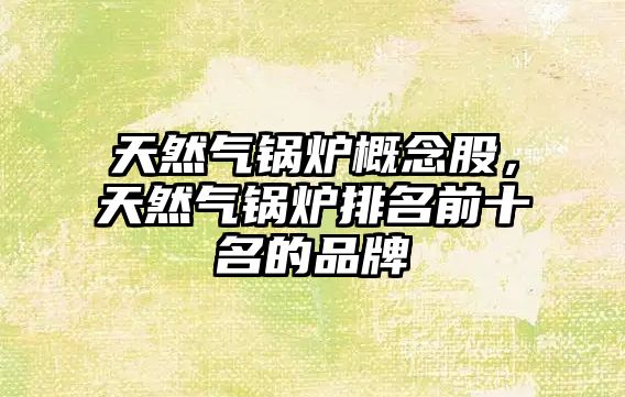 天然氣鍋爐概念股，天然氣鍋爐排名前十名的品牌