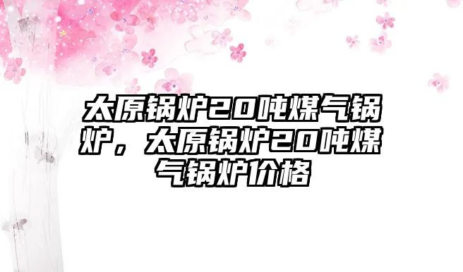 太原鍋爐20噸煤氣鍋爐，太原鍋爐20噸煤氣鍋爐價(jià)格