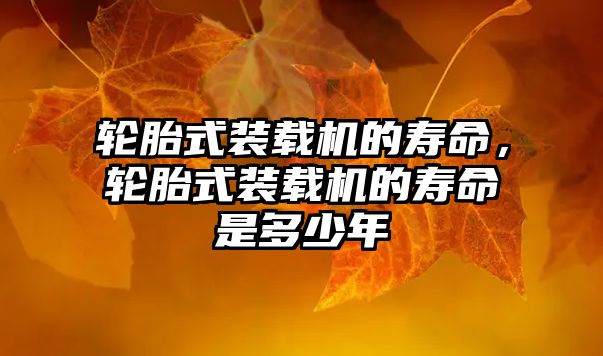輪胎式裝載機的壽命，輪胎式裝載機的壽命是多少年