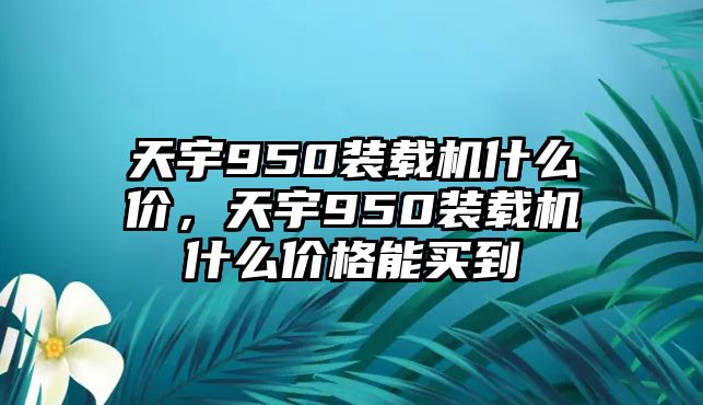 天宇950裝載機什么價，天宇950裝載機什么價格能買到