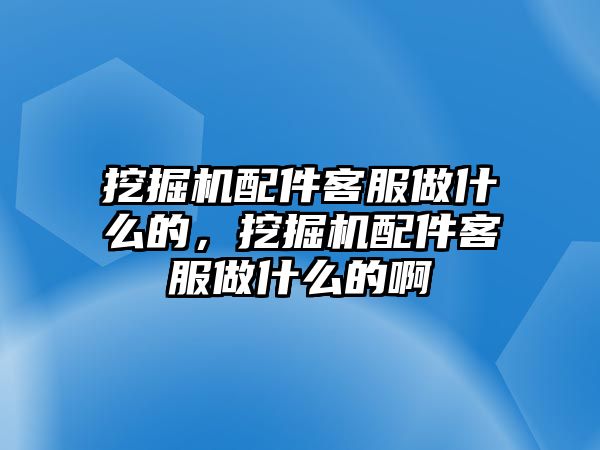 挖掘機配件客服做什么的，挖掘機配件客服做什么的啊