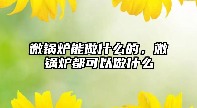 微鍋爐能做什么的，微鍋爐都可以做什么