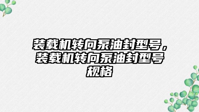 裝載機(jī)轉(zhuǎn)向泵油封型號(hào)，裝載機(jī)轉(zhuǎn)向泵油封型號(hào)規(guī)格