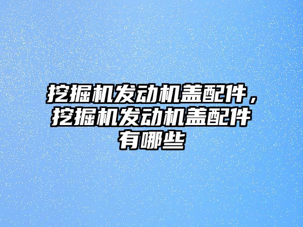 挖掘機(jī)發(fā)動(dòng)機(jī)蓋配件，挖掘機(jī)發(fā)動(dòng)機(jī)蓋配件有哪些