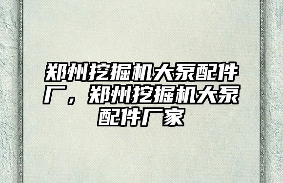 鄭州挖掘機(jī)大泵配件廠，鄭州挖掘機(jī)大泵配件廠家
