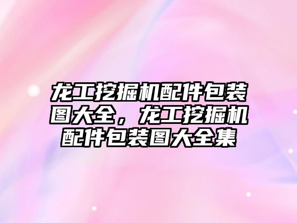 龍工挖掘機(jī)配件包裝圖大全，龍工挖掘機(jī)配件包裝圖大全集