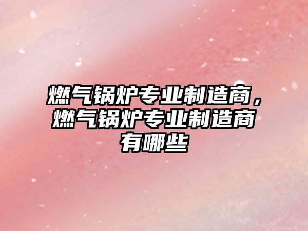 燃氣鍋爐專業(yè)制造商，燃氣鍋爐專業(yè)制造商有哪些
